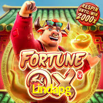 Lindapg: A Experiência de Casino com Jogos de Mesa ao Vivo